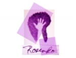 Rosendo Studios Logo