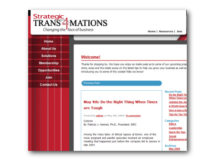 Strategic Transformations Website/Blog