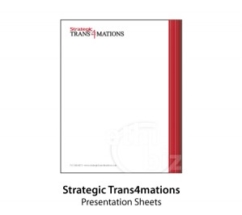 Strategic Trans4mations Press Sheet